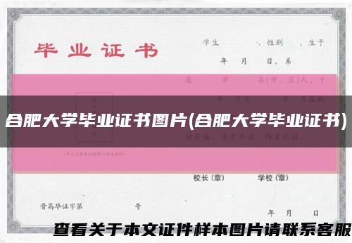 合肥大学毕业证书图片(合肥大学毕业证书)缩略图