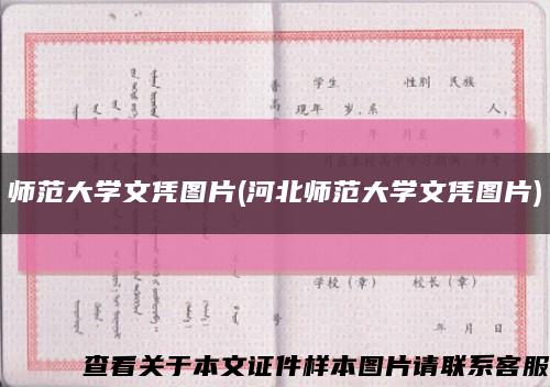 师范大学文凭图片(河北师范大学文凭图片)缩略图