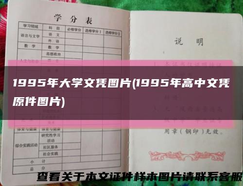 1995年大学文凭图片(1995年高中文凭原件图片)缩略图