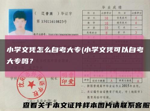 小学文凭怎么自考大专(小学文凭可以自考大专吗？缩略图