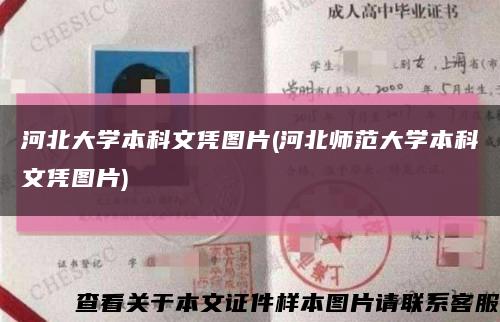 河北大学本科文凭图片(河北师范大学本科文凭图片)缩略图