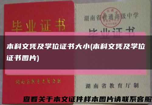 本科文凭及学位证书大小(本科文凭及学位证书图片)缩略图