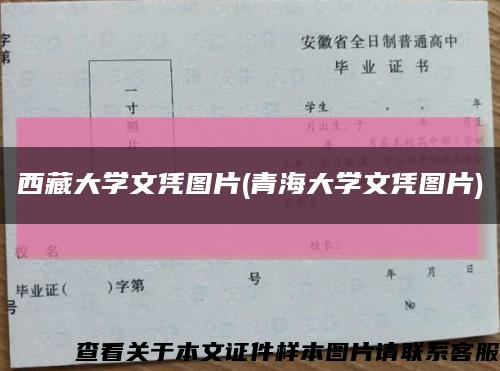 西藏大学文凭图片(青海大学文凭图片)缩略图