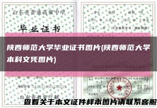 陕西师范大学毕业证书图片(陕西师范大学本科文凭图片)缩略图