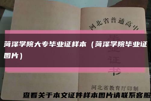 菏泽学院大专毕业证样本（菏泽学院毕业证图片）缩略图