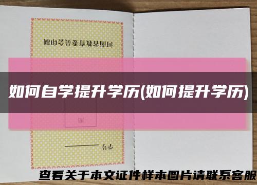 如何自学提升学历(如何提升学历)缩略图