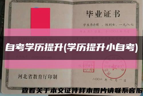自考学历提升(学历提升小自考)缩略图