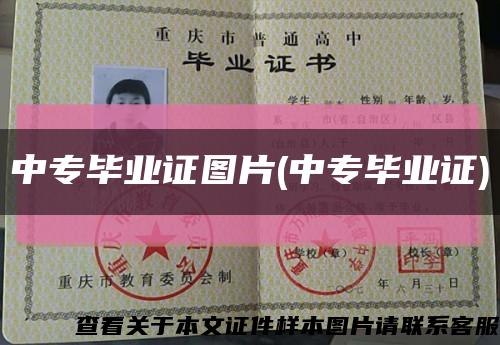 中专毕业证图片(中专毕业证)缩略图