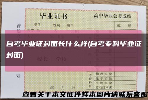 自考毕业证封面长什么样(自考专科毕业证封面)缩略图