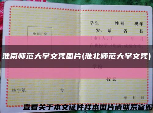 淮南师范大学文凭图片(淮北师范大学文凭)缩略图