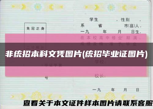 非统招本科文凭图片(统招毕业证图片)缩略图