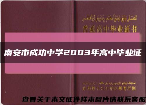 南安市成功中学2003年高中毕业证缩略图