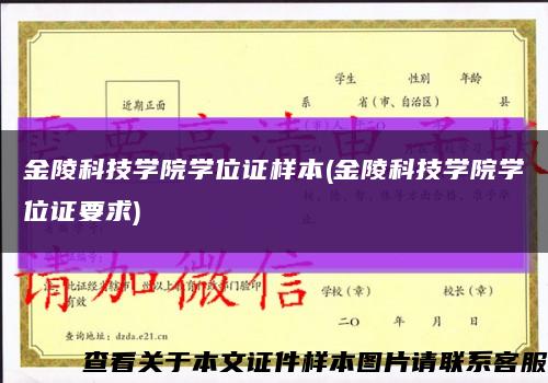 金陵科技学院学位证样本(金陵科技学院学位证要求)缩略图