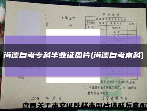 尚德自考专科毕业证图片(尚德自考本科)缩略图