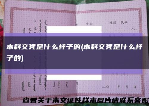 本科文凭是什么样子的(本科文凭是什么样子的)缩略图