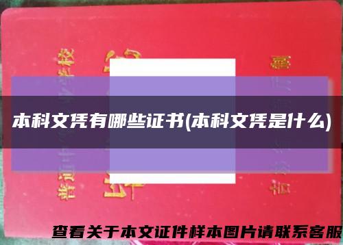 本科文凭有哪些证书(本科文凭是什么)缩略图