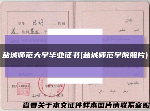 盐城师范大学毕业证书(盐城师范学院照片)缩略图