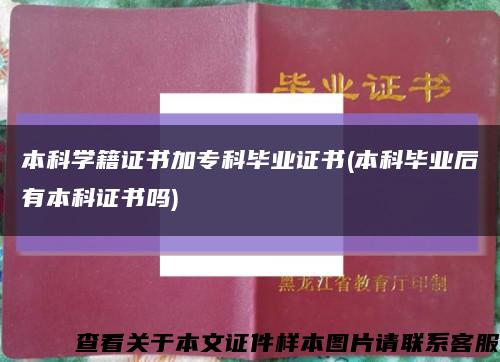 本科学籍证书加专科毕业证书(本科毕业后有本科证书吗)缩略图