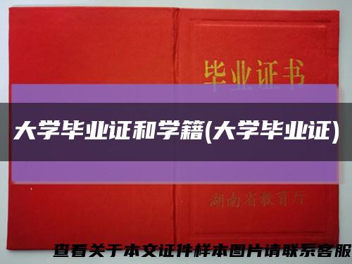 大学毕业证和学籍(大学毕业证)缩略图