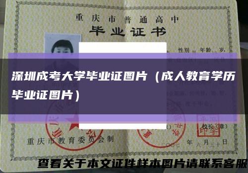 深圳成考大学毕业证图片（成人教育学历毕业证图片）缩略图