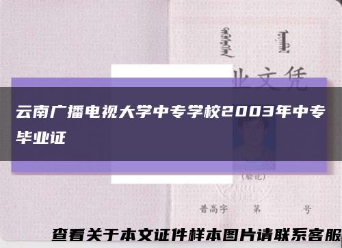 云南广播电视大学中专学校2003年中专毕业证缩略图