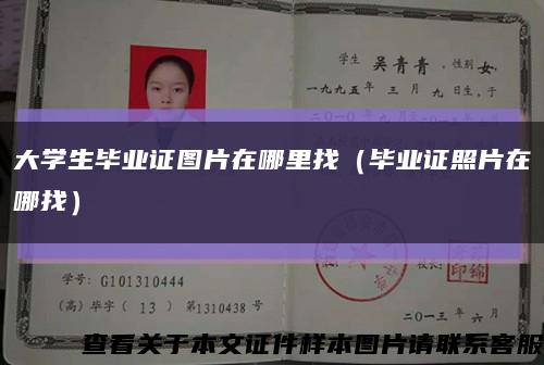 大学生毕业证图片在哪里找（毕业证照片在哪找）缩略图