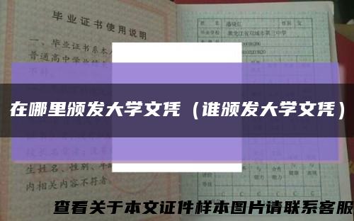在哪里颁发大学文凭（谁颁发大学文凭）缩略图