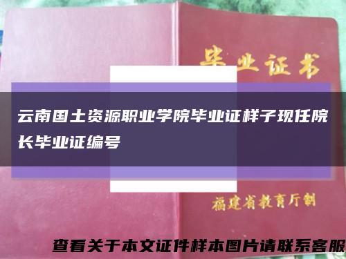 云南国土资源职业学院毕业证样子现任院长毕业证编号缩略图