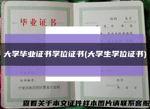 大学毕业证书学位证书(大学生学位证书)缩略图