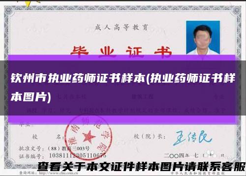 钦州市执业药师证书样本(执业药师证书样本图片)缩略图