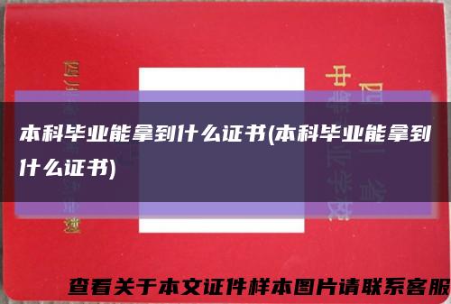 本科毕业能拿到什么证书(本科毕业能拿到什么证书)缩略图