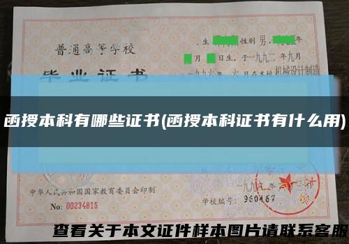 函授本科有哪些证书(函授本科证书有什么用)缩略图