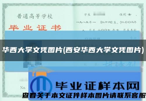 华西大学文凭图片(西安华西大学文凭图片)缩略图