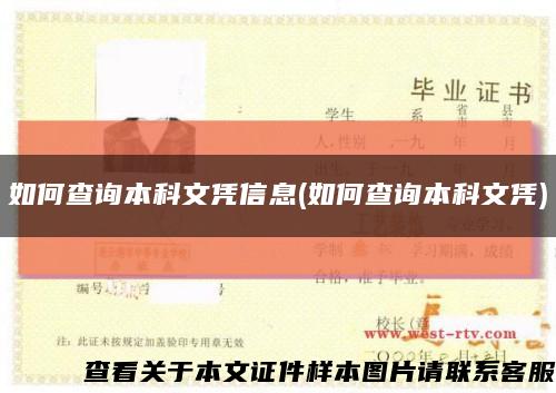 如何查询本科文凭信息(如何查询本科文凭)缩略图