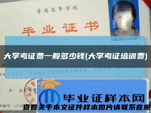 大学考证费一般多少钱(大学考证培训费)缩略图