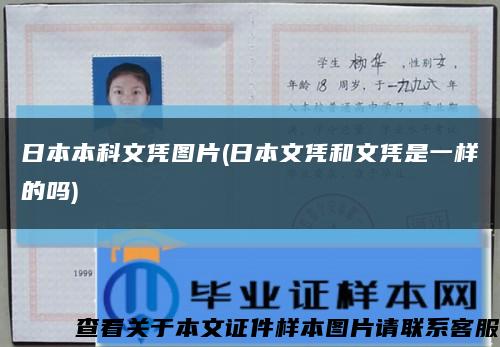 日本本科文凭图片(日本文凭和文凭是一样的吗)缩略图