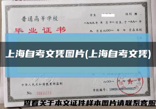 上海自考文凭图片(上海自考文凭)缩略图