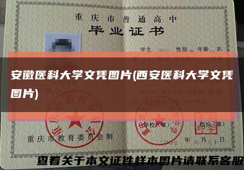 安徽医科大学文凭图片(西安医科大学文凭图片)缩略图