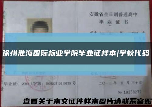 徐州淮海国际标业学院毕业证样本|学校代码缩略图