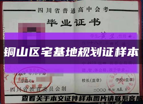 铜山区宅基地规划证样本缩略图