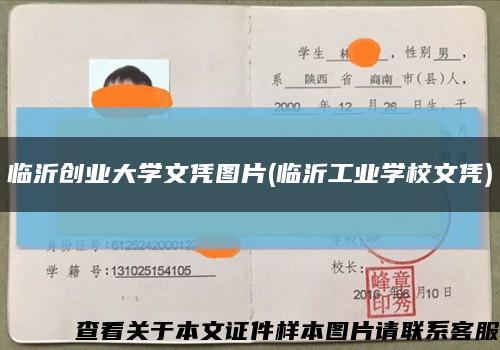 临沂创业大学文凭图片(临沂工业学校文凭)缩略图