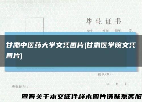 甘肃中医药大学文凭图片(甘肃医学院文凭图片)缩略图