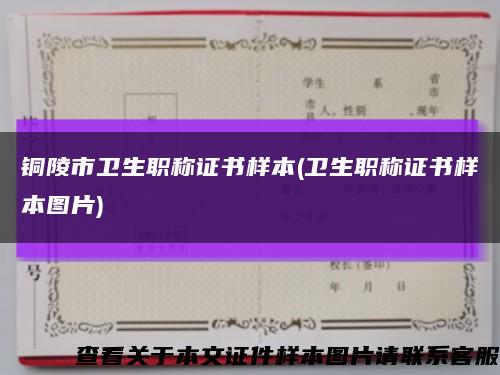 铜陵市卫生职称证书样本(卫生职称证书样本图片)缩略图