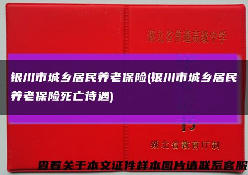 银川市城乡居民养老保险(银川市城乡居民养老保险死亡待遇)缩略图
