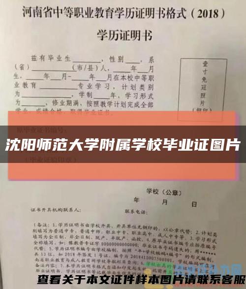 沈阳师范大学附属学校毕业证图片缩略图