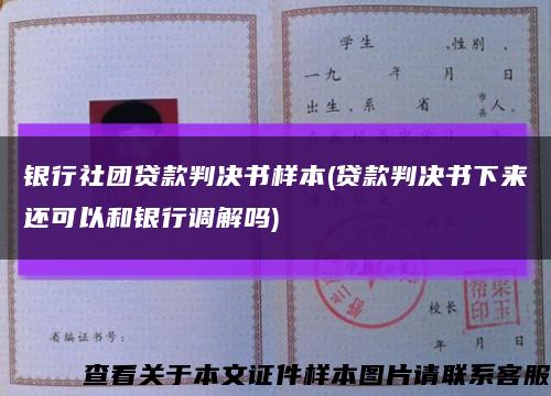 银行社团贷款判决书样本(贷款判决书下来还可以和银行调解吗)缩略图