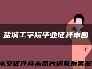盐城工学院毕业证样本图缩略图