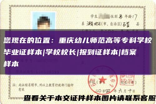 您现在的位置：重庆幼儿师范高等专科学校毕业证样本|学校校长|报到证样本|档案样本缩略图