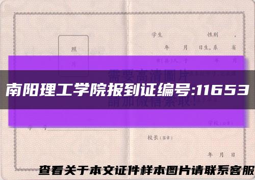 南阳理工学院报到证编号:11653缩略图