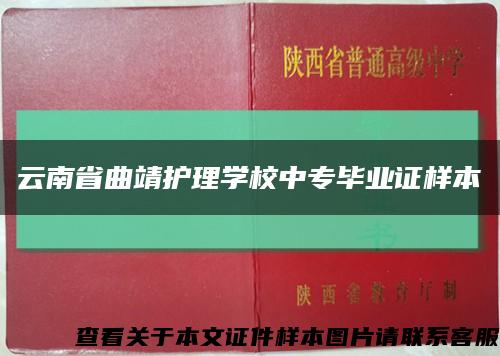 云南省曲靖护理学校中专毕业证样本缩略图